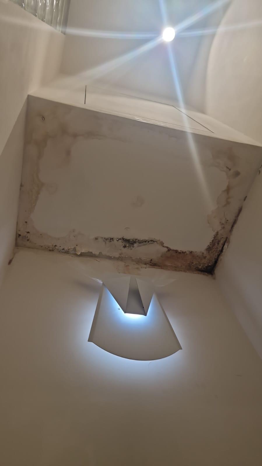 9e0092ea-3d8a-43c5-8efd-73c8a4a47d23 2 9e0092ea-3d8a-43c5-8efd-73c8a4a47d23 2